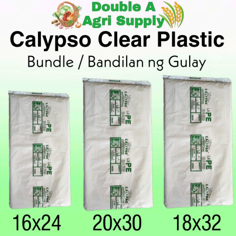 PE Plastic Bag 0.001 Thickness / Calypso Clear Plastic / 16x24 / 20x30
