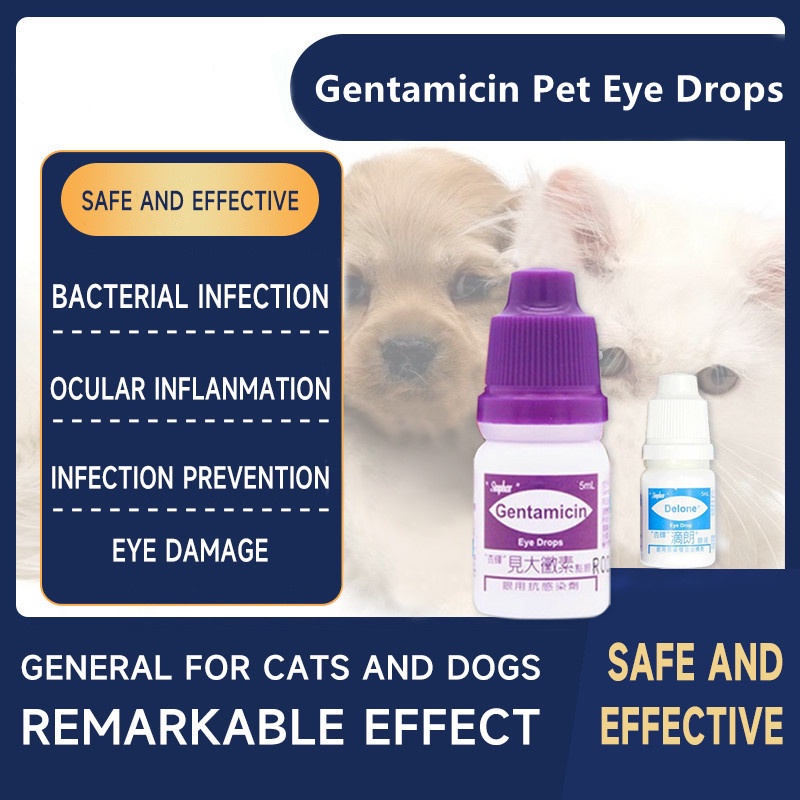 Gentamicin Eye Drops for Pets 5ml Anti inflammation and sterilization