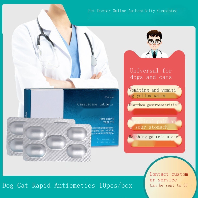 Cat vomiting dog vomiting yellow water white foam gastroenteritis