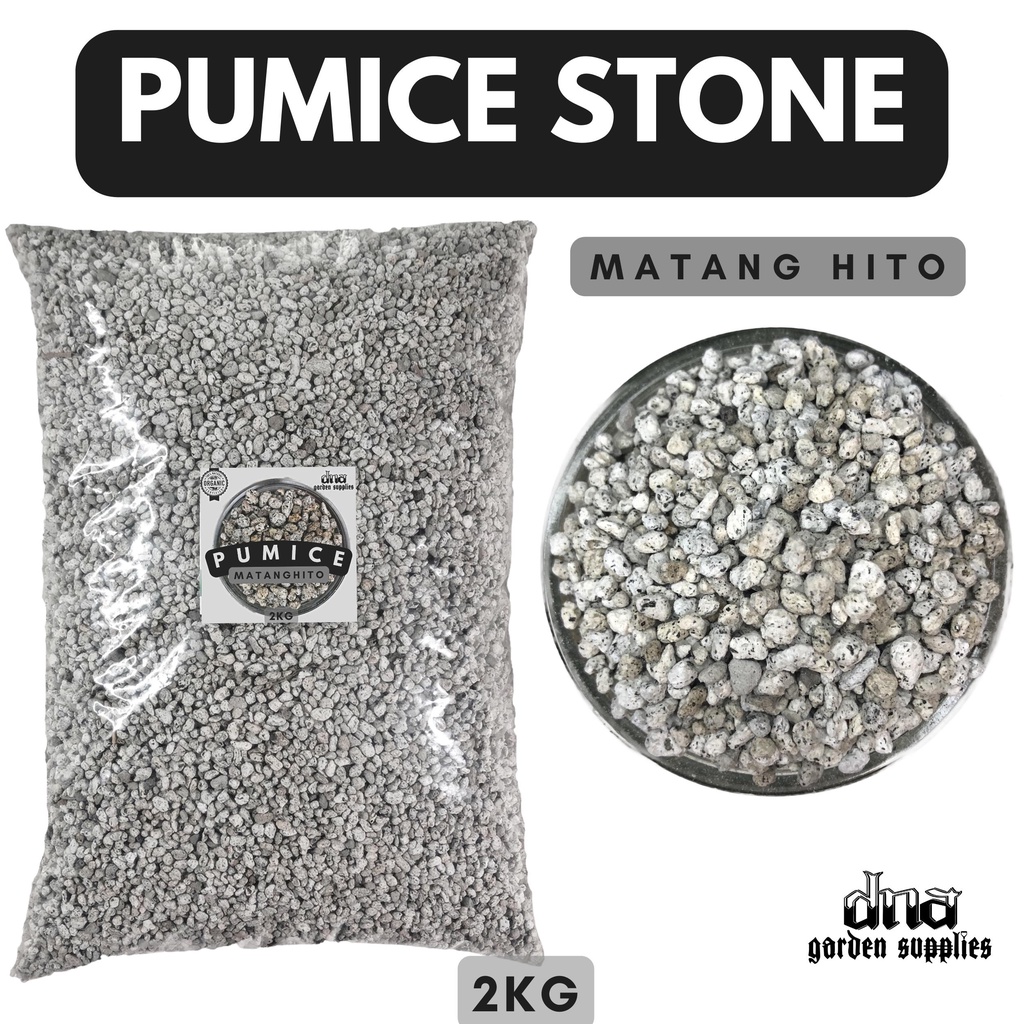 2KG PUMICE MATANG HITO (WASHED) for Soil Drainage preventing root rot