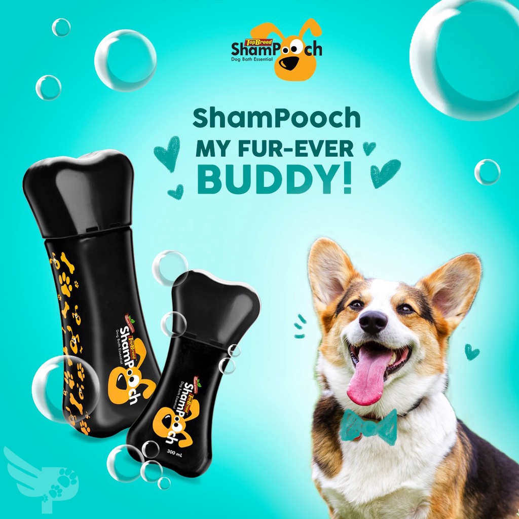 Shampooch 1L Dog Shampoo TopBreed Shampoo Universal Robina Corp 1
