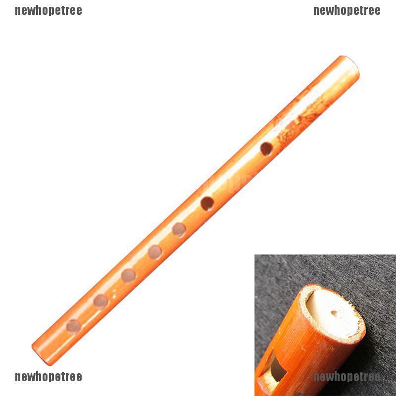 6 Hole Bamboo Flute Student Musical Instrument Shopee