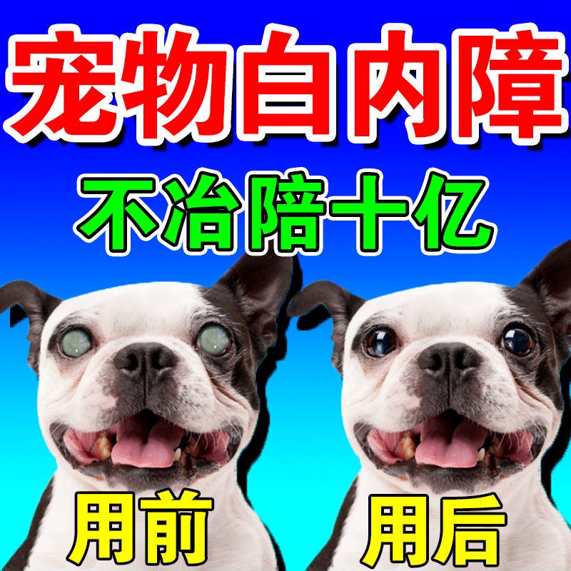 Pet dog cataract is not embodied all pet eye drops the dog