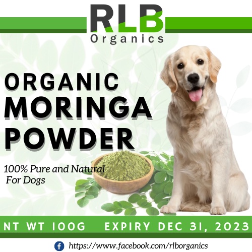 100 grams Pure Moringa Powder for Dogs filled with Nutrients & Vitamins