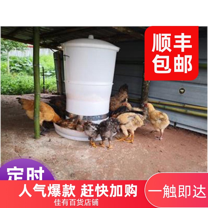Automatic feeder timing chicken feeder chicken duck goose timing feeder