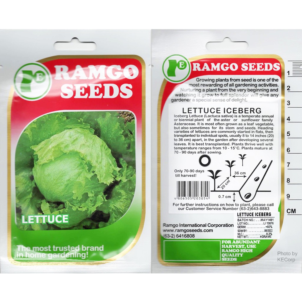 Ramgo & Yates Lettuce Seeds Sold per Pack per Variety KECORP_S1