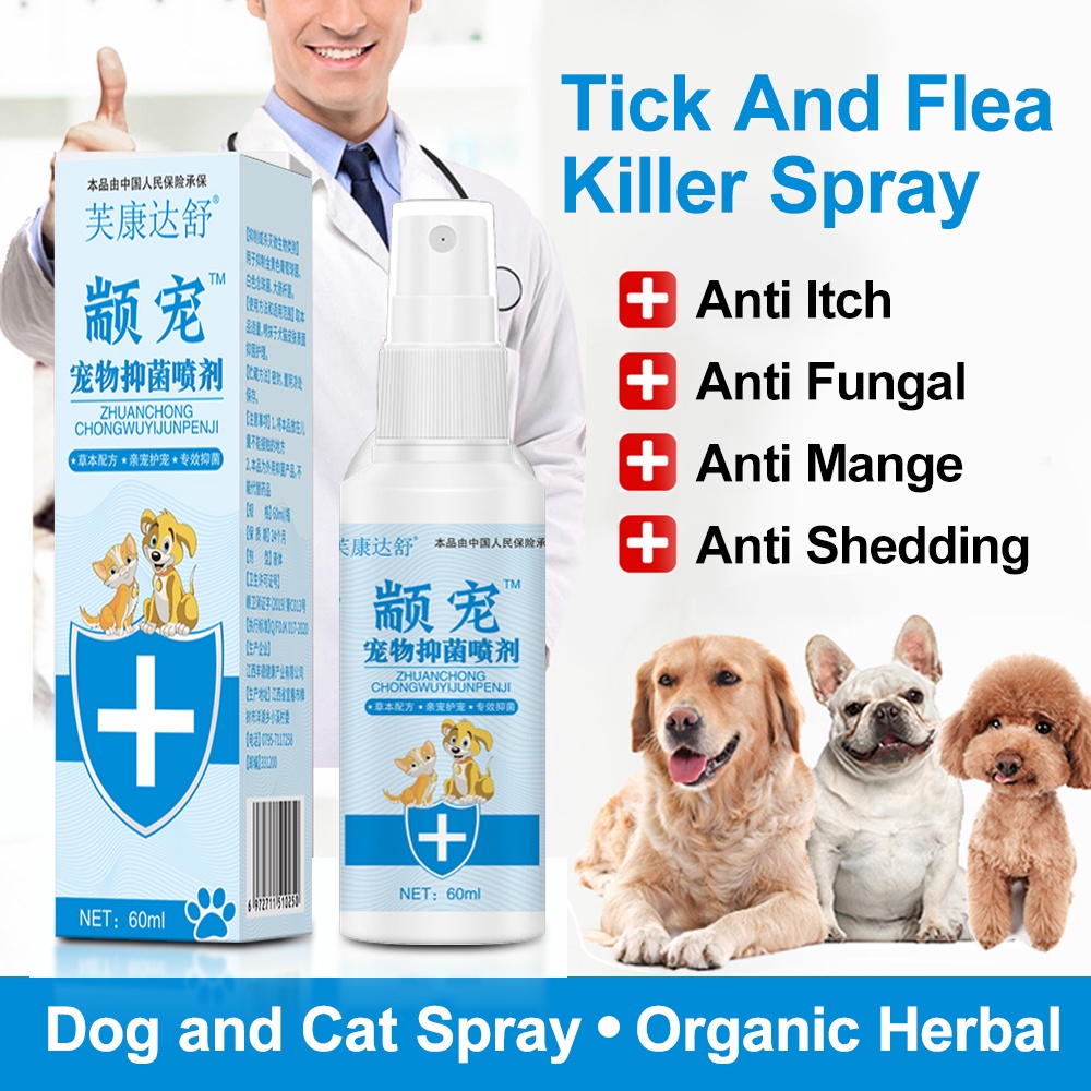 Dog Medicine for Skin Disease Effective Dog Skin Allergy Treatment