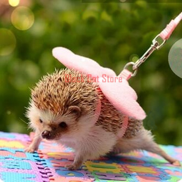123cm Hedgehog Harness with Angel Wings Hedgehog Leashes Traction Belt