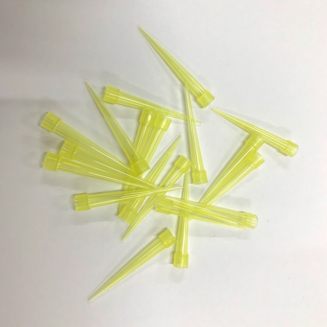 Pipette Tips (Gilson or Eppendorf) Shopee Philippines