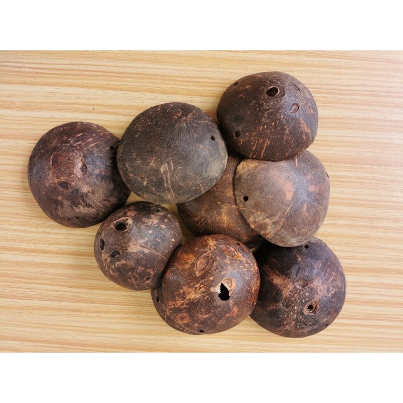 Maglalatik Bao Costume Set for PE Physical Education Shopee Philippines