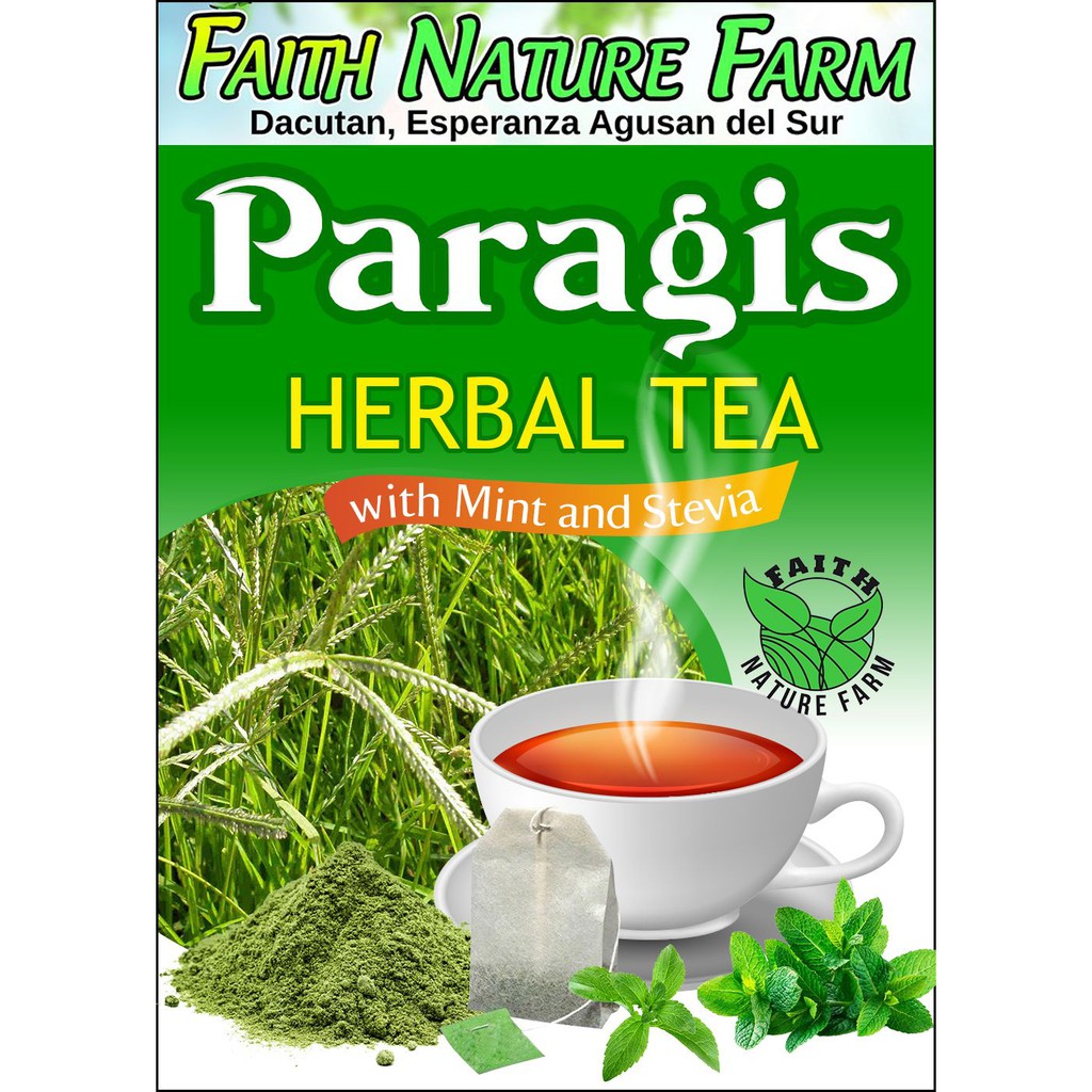 Paragis Herbal Tea with Mint and Stevia ( 10 tea bags ) Shopee Philippines