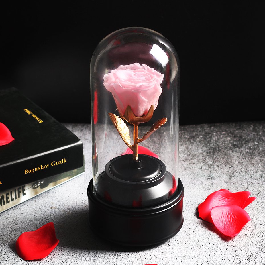 Rotating Glass Cover Beauty and The Beast Eternal Rose of Music Box