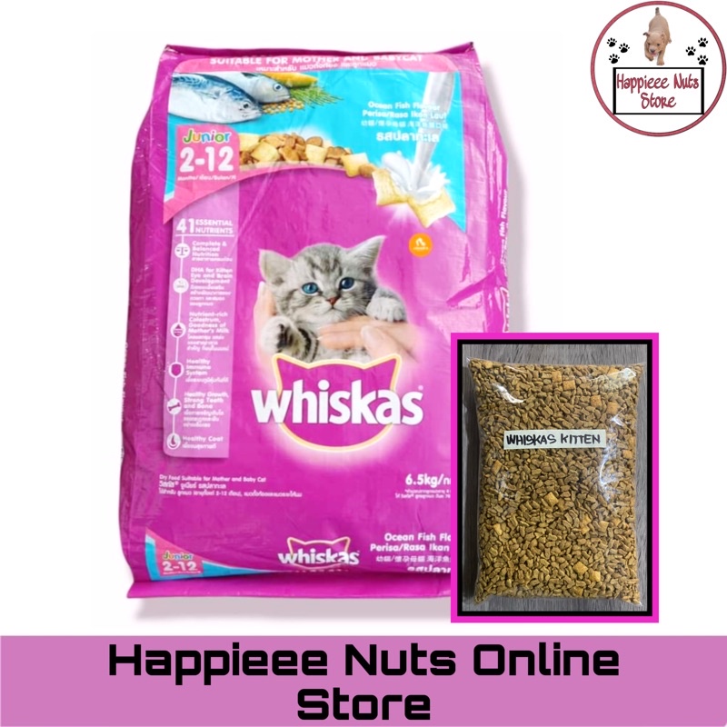 Whiskas Kitten Dry Cat Food 212 months Ocean Fish Flavor 1kg Shopee