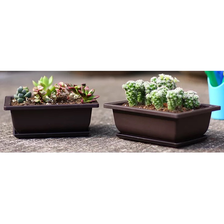 PP Plastic Bonsai Flower Pot High Heat Resistance and Durable with