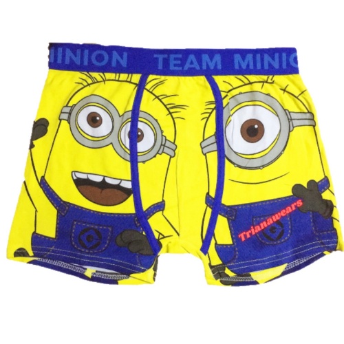 Trianawear Minions Despicable Me Character Print Boxer Brief For Men