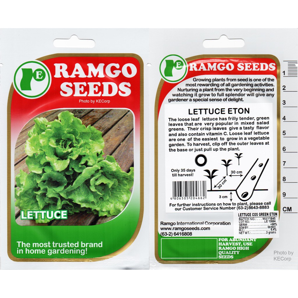 Ramgo & Yates Lettuce Seeds Sold per Pack per Variety KECORP_S1