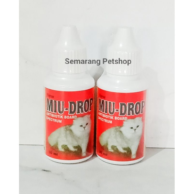 Cat Antibiotic Infection Cat Antibiotic Cough Cold Antibiotic Cat For