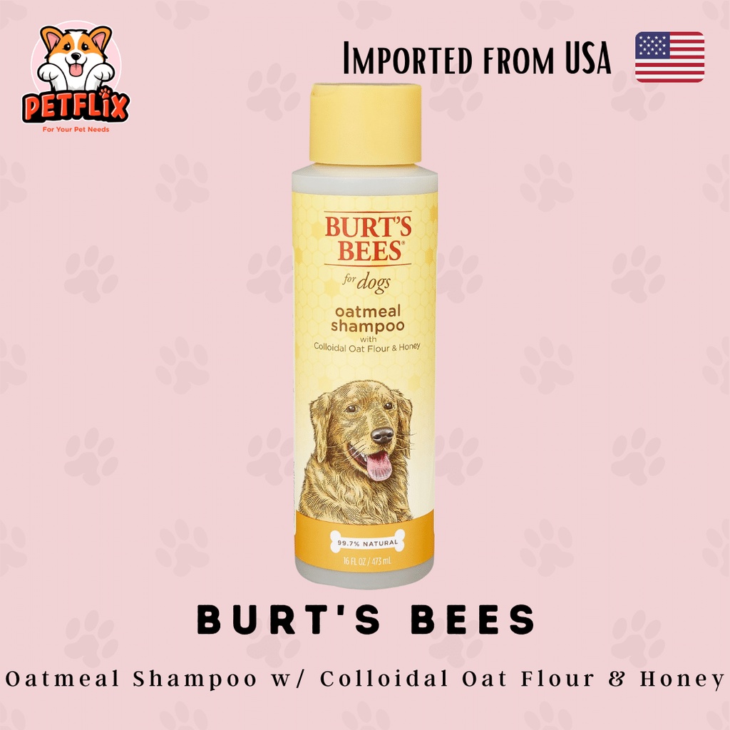 Burt's Bees Natural Oatmeal Shampoo with Colloidal Oat Flour & Honey