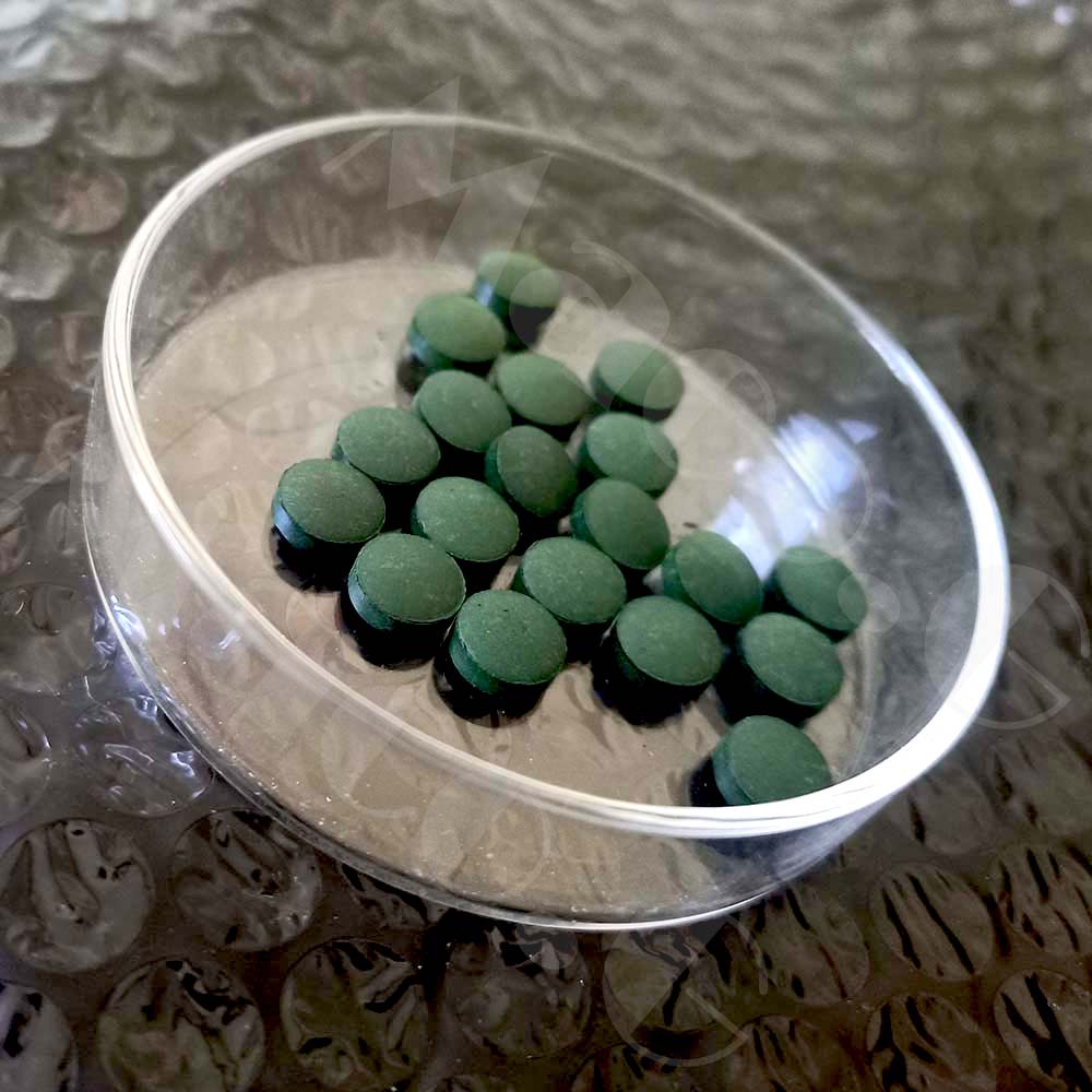 Algae tablets fish food Spirulina tablets best for small fishes or