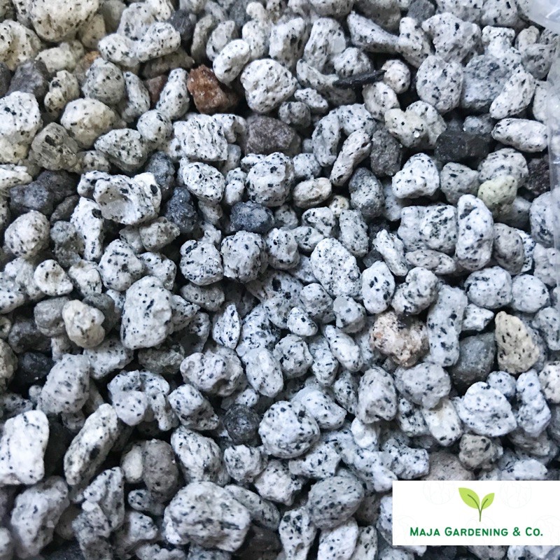 Pumice Stones For Plants (1kg) Shopee Philippines