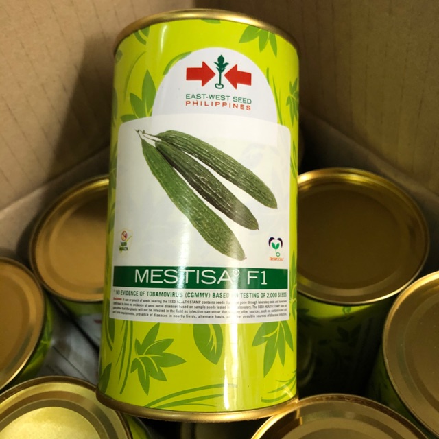 AMPALAYA SEEDS 100GRAMS EAST WEST MESTISA F1 HYBRID BITTER GOURD