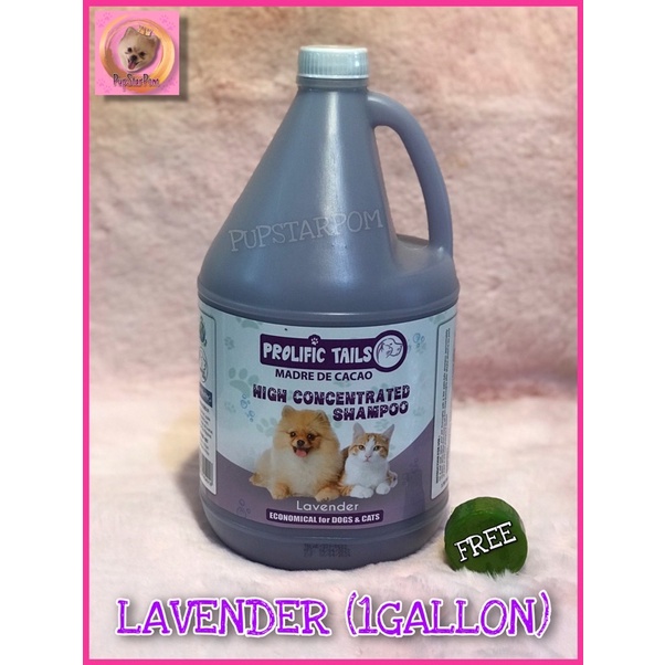 PROLIFIC TAILS MADRE DE CACAO SHAMPOO FOR CATS AND DOGS LAVENDER SCENT