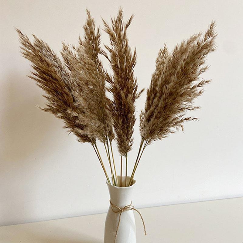 Dried Flower Grass Decor Natural Dried Flowers Plants Wedding Flowers