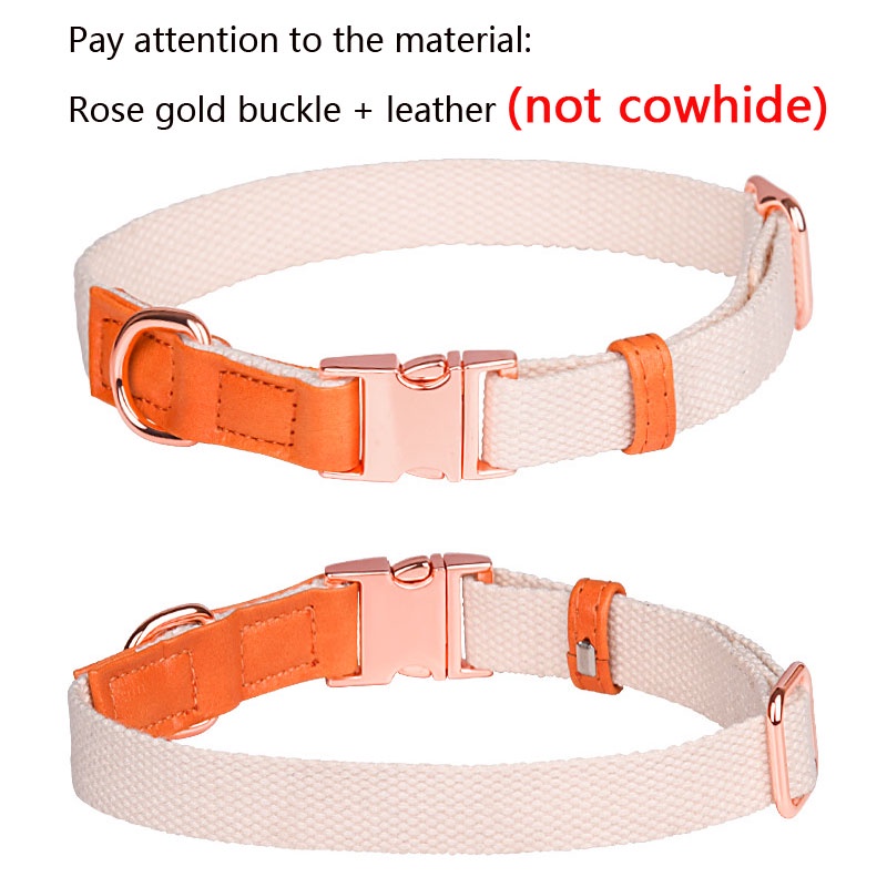 Personalized Collar Engravable Pet Collar customizable Dog tag Anti