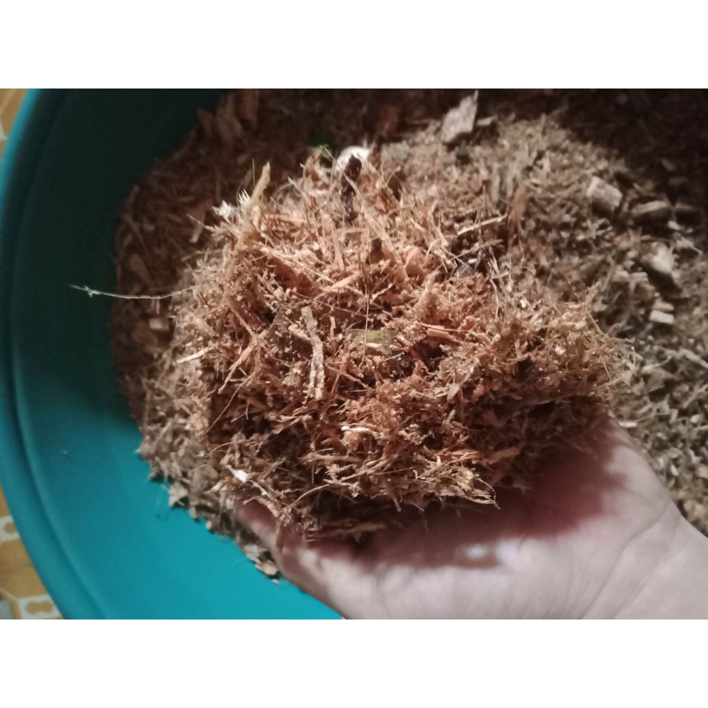 500 grams Coco Mulch Organic Coconut Husk (Coir) Mulch perfect for growing plants such as