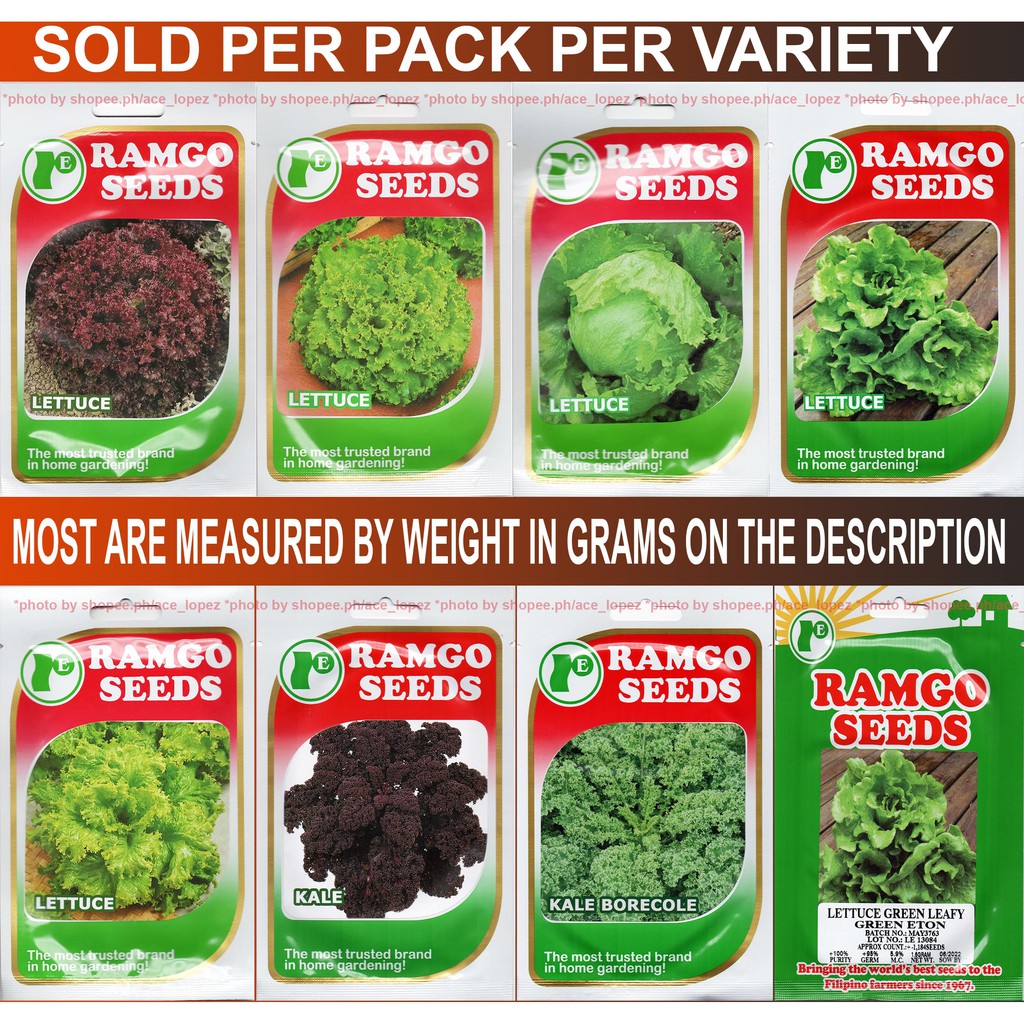 Ramgo Condor Yates Lettuce Salad Seeds Sold per Pack per Variety