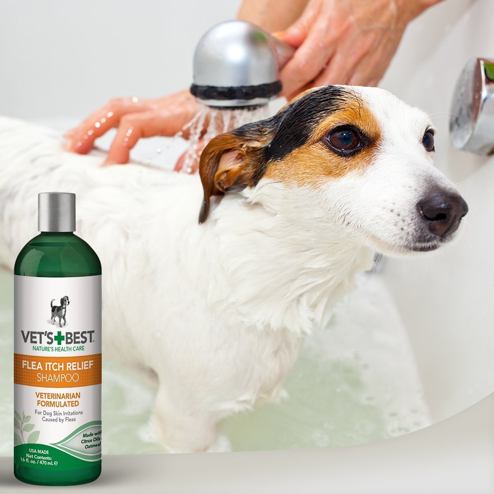 Vet's Best Flea Itch Relief Shampoo (16Oz) Shopee Philippines