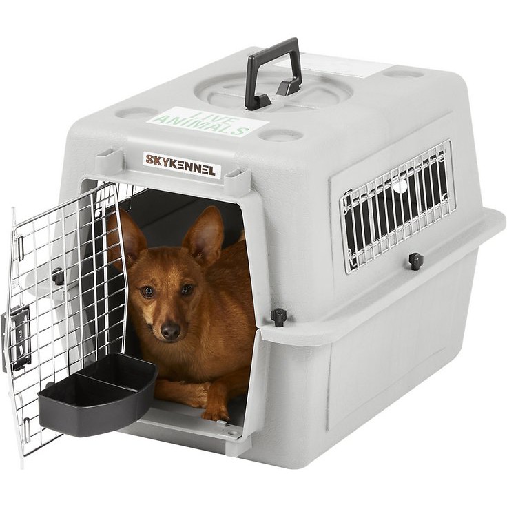 Petmate Double Water Cup For Kennel Shopee Philippines