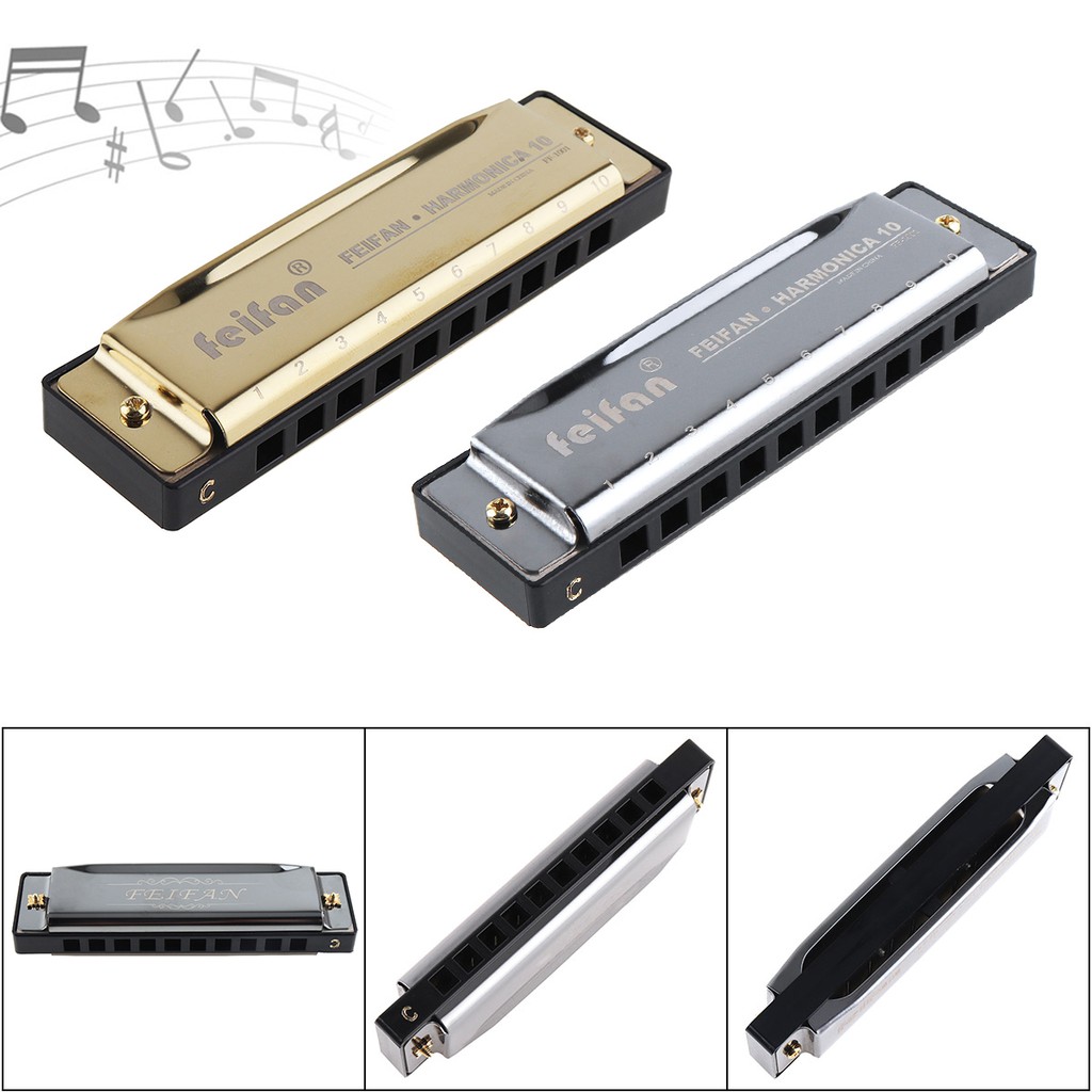 10 Holes 20 ToneC Matte Harmonica Blues Harp Mouth Organ Stainless