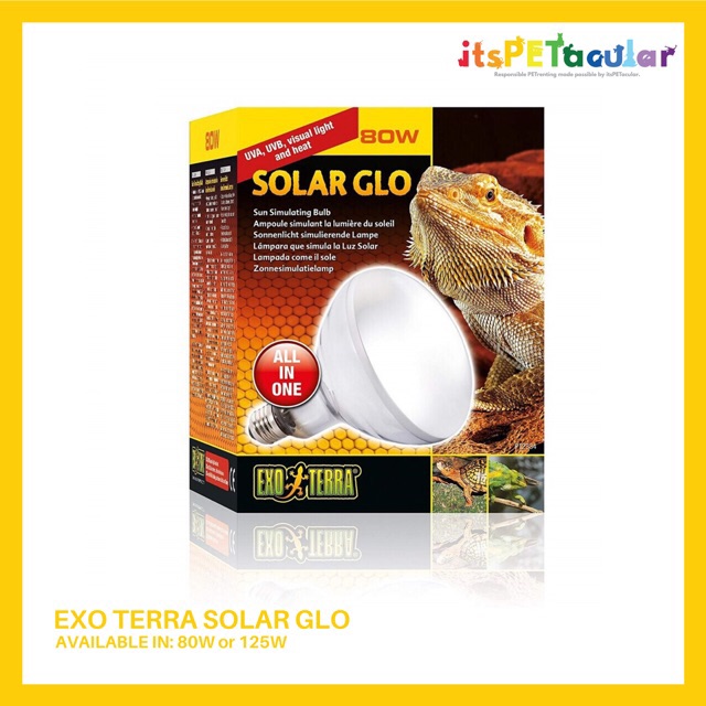 Exo Terra Solar Glo (80w or 125w) Shopee Philippines
