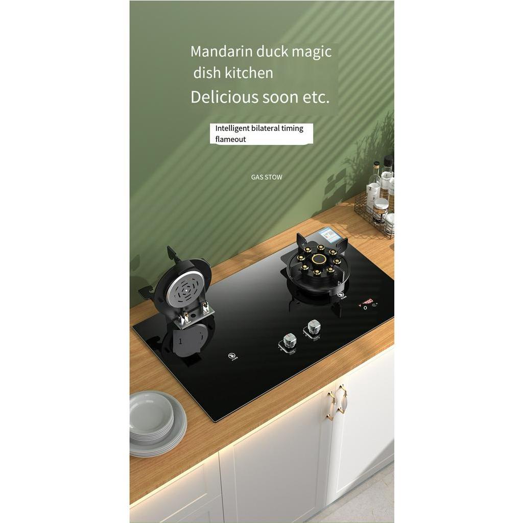 Double Burner Gas Stove Flip type / Modern Gas Stove / Flip type Burner