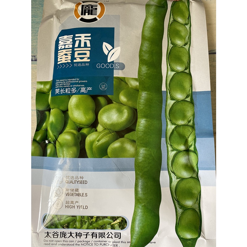 Broad Bean Seed EarlyMaturity Farm Extra Large Green Peel and White