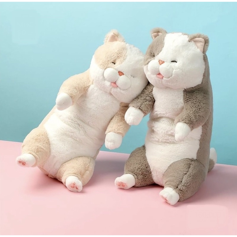 Cat Kitten Plush Toy by Miniso Shopee Philippines