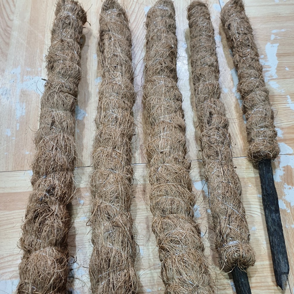 Coco Fiber Moss Pole and Twine for Creepers, Ornamental Plants