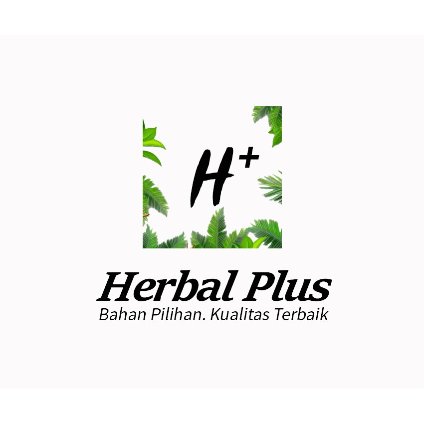 Hio Circle Pineapple Circle 12 Hours (Small) Shopee Philippines