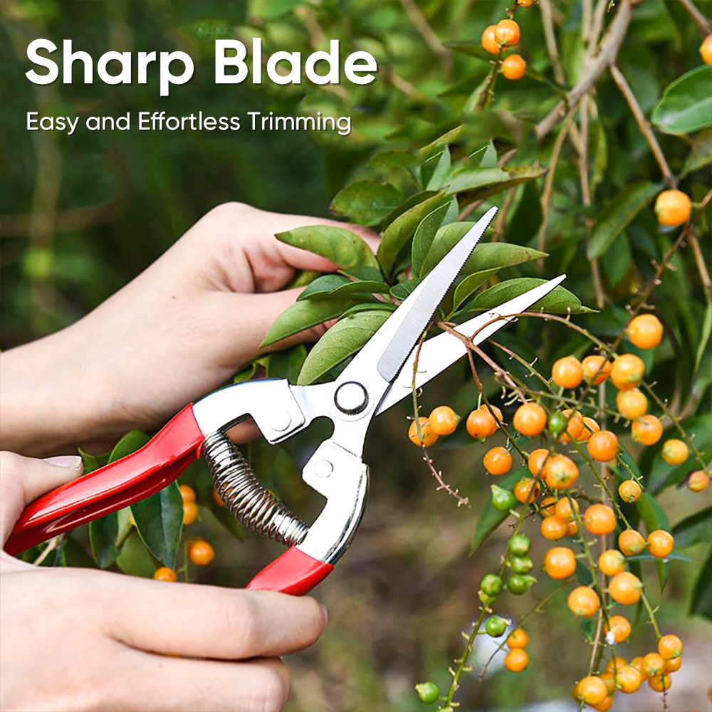 Mitsushi 20cm Plant Scissors Straight Garden Pruning Shears/Garden Scissor For Cutting Shopee
