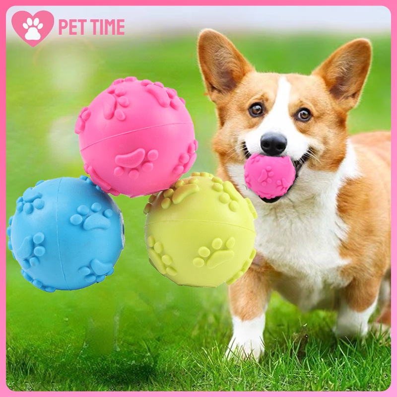 Squeaky Toy Ball for Training and Playing with Pets with Squeaker Puppy