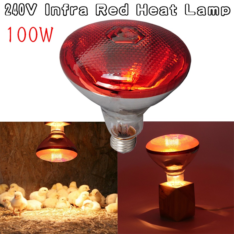 HOT Preservation Heat Lamp Thermal Lamp Red Infrared Short Wave Farm Piggy Heat Light Bulb