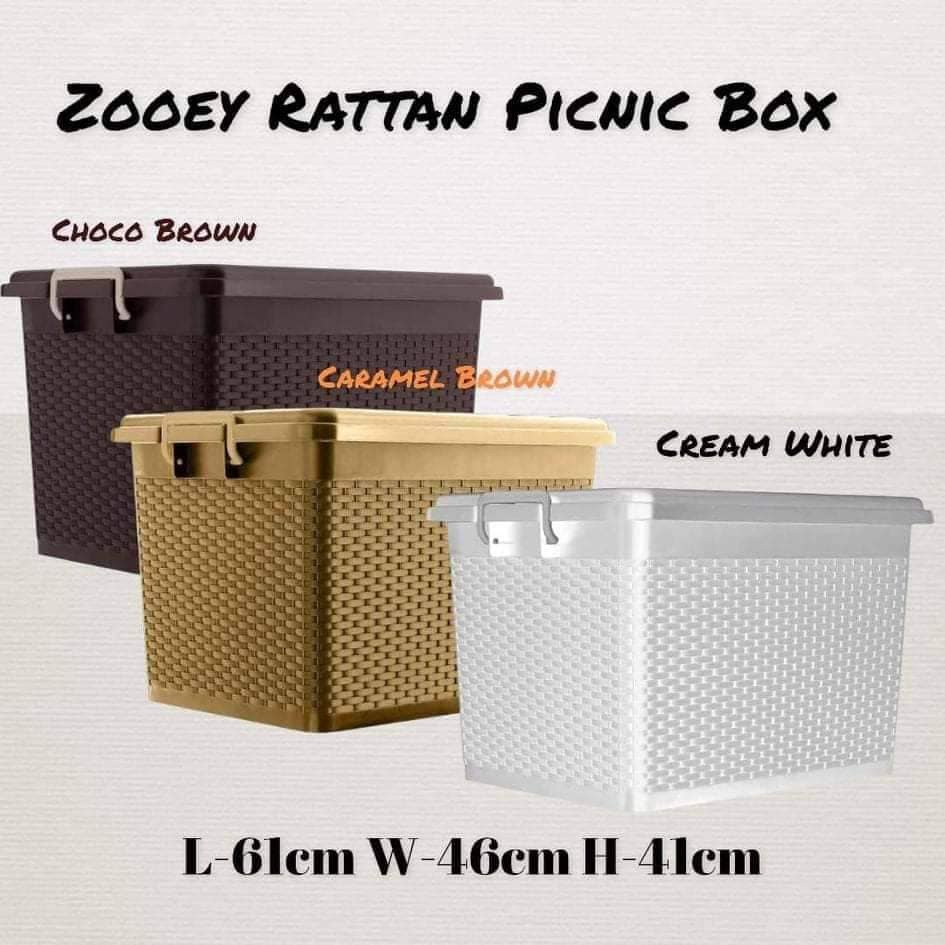 NEW ARRIVAL Rattan Storage Box Zooey Picnic Box Shopee Philippines