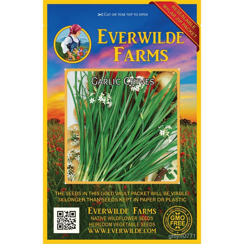 Guaranteed germination rate 1000 Garlic Chives Herb Seeds Everwilde