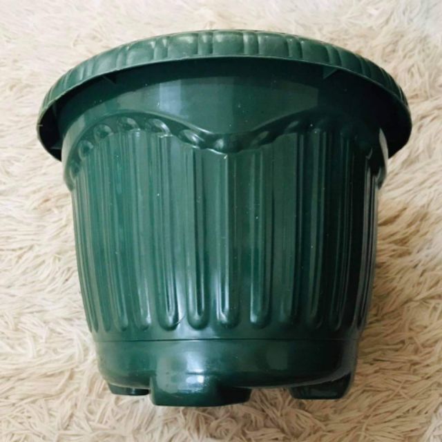 Large Plastic Pot (10inches x 7.5inches) Shopee Philippines