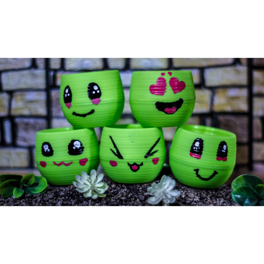 Eastern Egg Pot Self watering pot (hand painted emoji designs 2.75x2