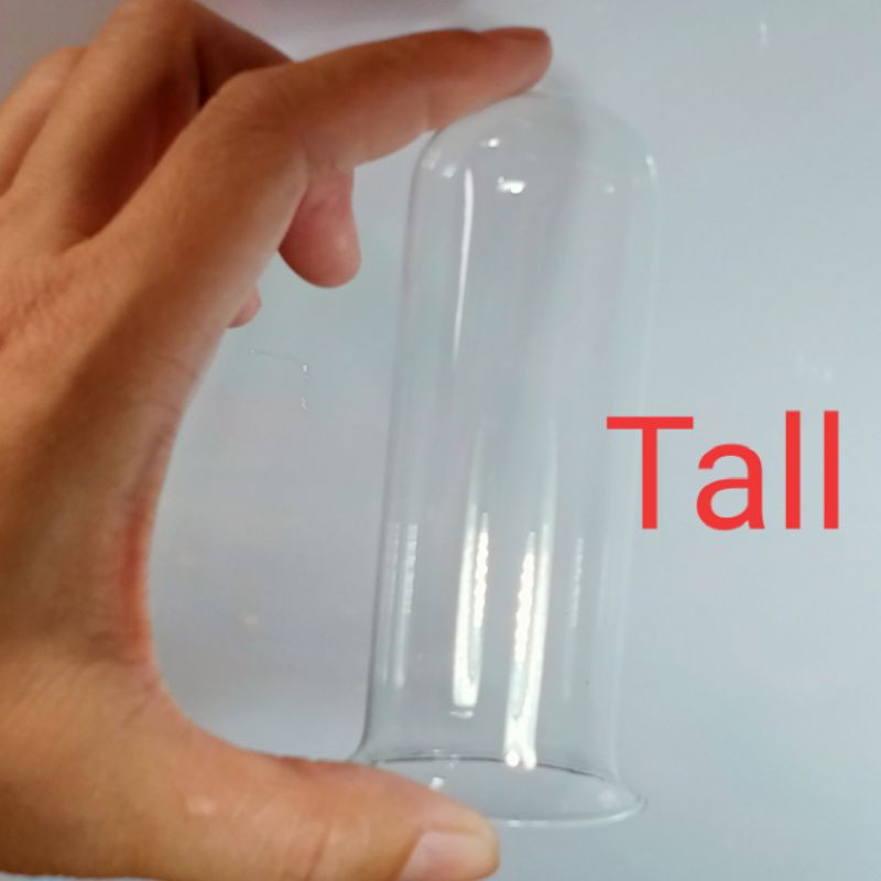 Glass Dome for Souvenirs Shopee Philippines