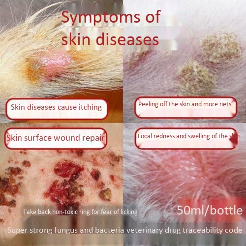 Ready stock】dog skin disease eczema dermatitis antifungal infection pet