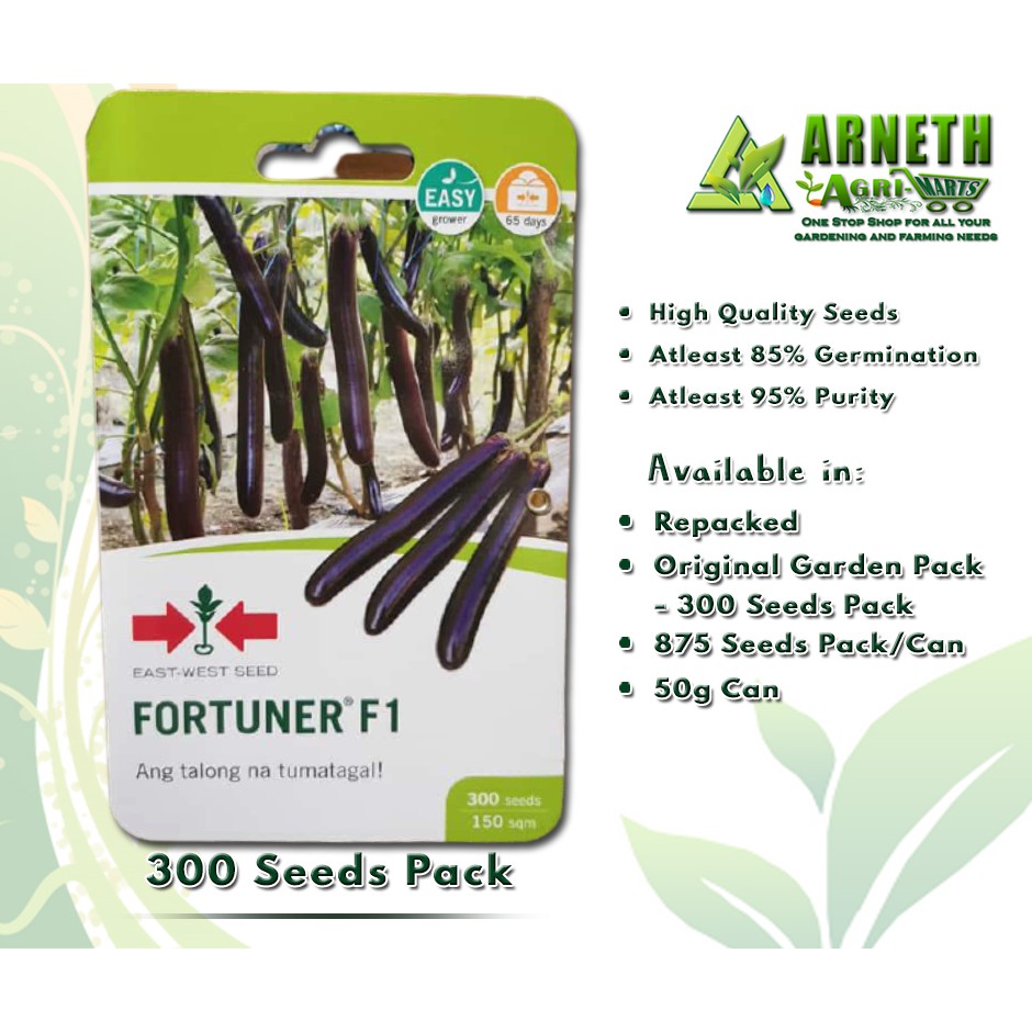 FORTUNER F1 EGGPLANT SEEDS BY EASTWEST GARDEN PACK Shopee Philippines