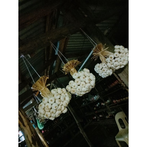 NATIVE GARLIC FROM ILOCOS NORTE Shopee Philippines